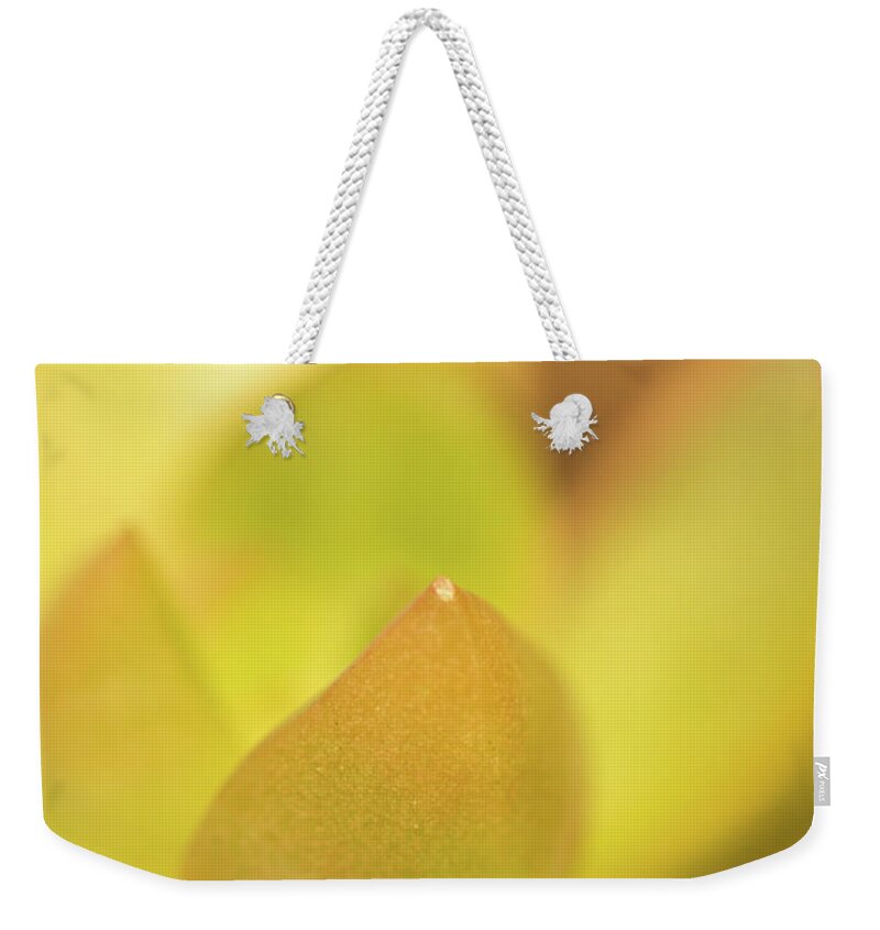 Nature Weekender Tote Bag featuring the photograph Find Focus in Nature by Ana V Ramirez