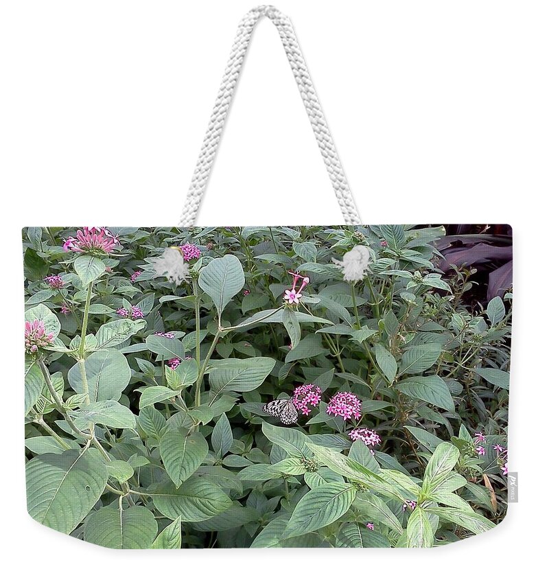 Butterfly Weekender Tote Bag featuring the photograph Find the Butterfly by Pamela Henry