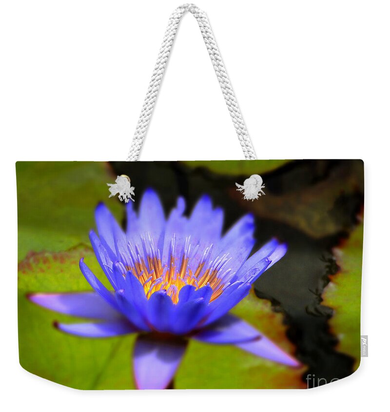 Lily Weekender Tote Bag featuring the photograph Fire Within by Sue Melvin