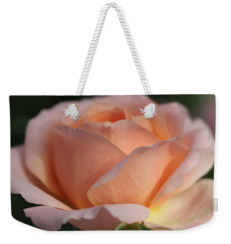 Rose Weekender Tote Bag featuring the photograph Fireside by Connie Handscomb