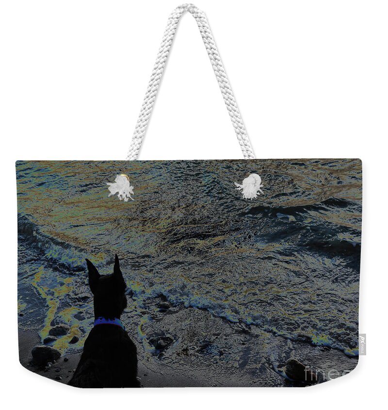 Giant Schnauzer Weekender Tote Bag featuring the photograph First Beach Day - Rowayton by Rui DeGouveia