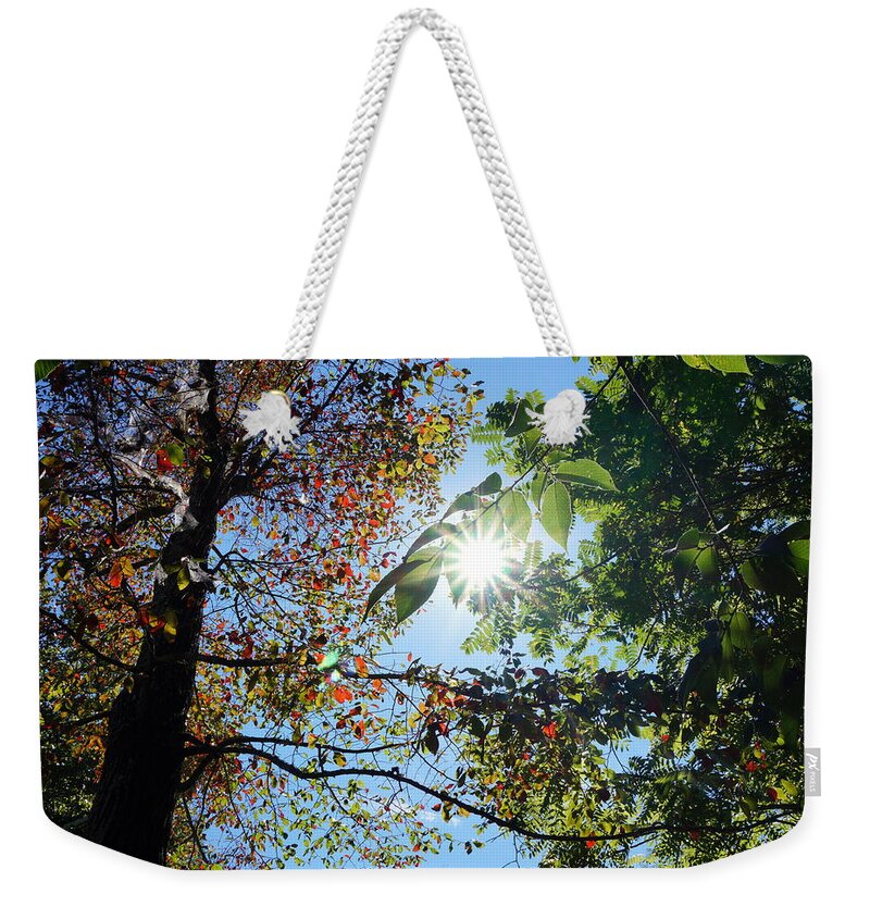 Fall Weekender Tote Bag featuring the photograph First Color of Fall by Katy Hawk