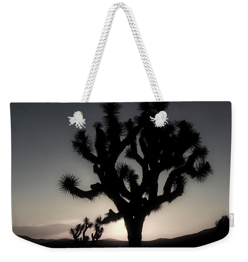Joshua Tree Weekender Tote Bag featuring the photograph First Light by Sandra Selle Rodriguez