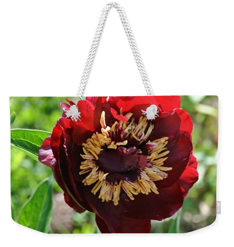 Photo Weekender Tote Bag featuring the photograph First Peony Bloom by Marsha Heiken