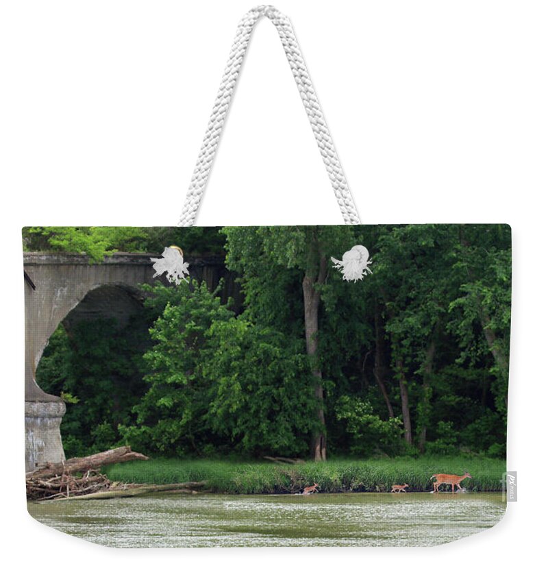 Deer Weekender Tote Bag featuring the photograph First River Adventure 7282 by Jack Schultz