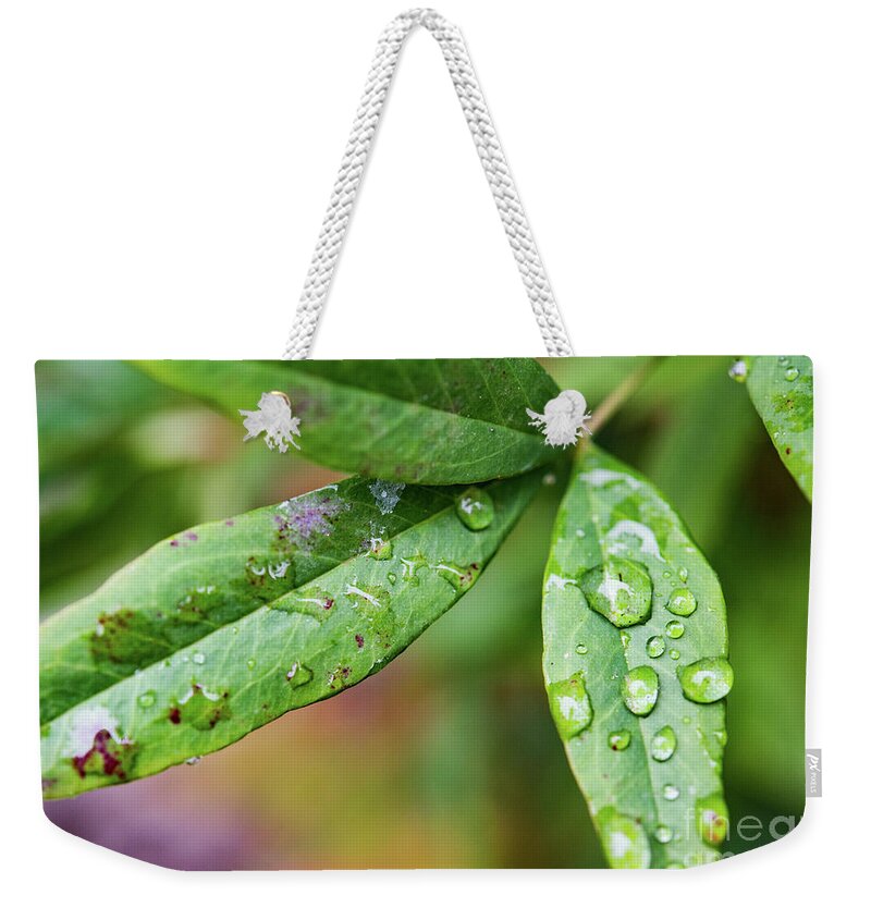 Leaves Weekender Tote Bag featuring the photograph First Signs of Fall  by Mary Jane Armstrong