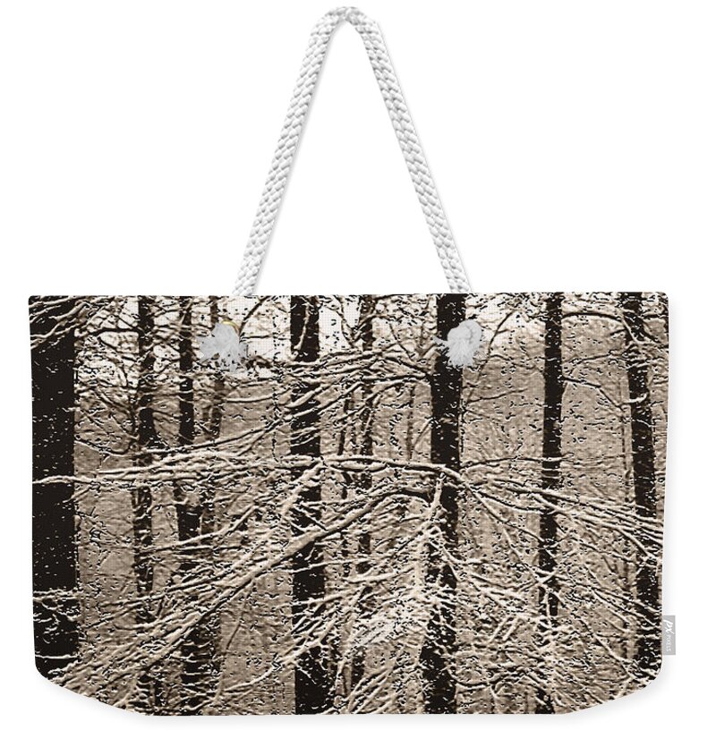 Winter Landscape Oak Trees Snow Snowy Forest Rural Country Woods Gordon Beck Art Weekender Tote Bag featuring the photograph First Snow by Gordon Beck