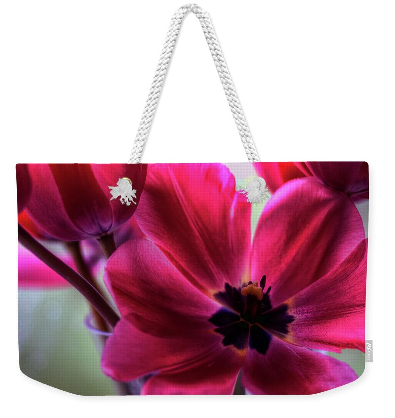 Hdr Weekender Tote Bag featuring the photograph First to Wake by Brad Granger
