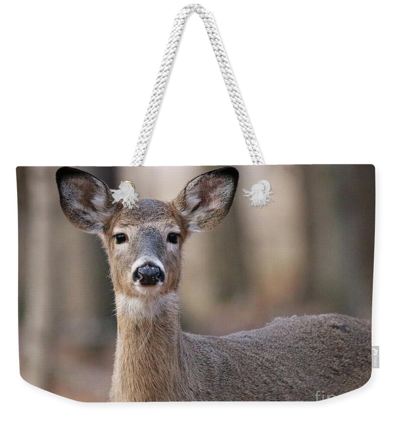 Deer Weekender Tote Bag featuring the photograph First Winter, Whitetail Deer by Steve Gass