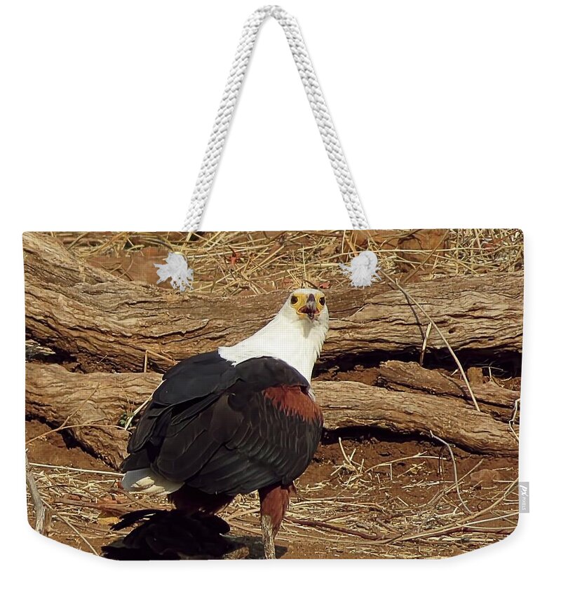 Fish Eagle Weekender Tote Bag featuring the photograph Fish Eagle by Jennifer Wheatley Wolf
