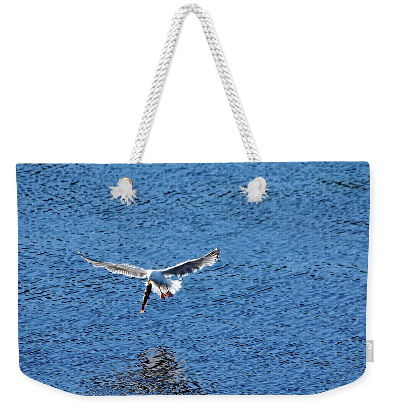 Herring Gull Weekender Tote Bag featuring the photograph Fish For Breakfast by Debbie Oppermann