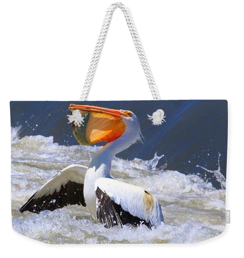 Fish For Dinner Weekender Tote Bag featuring the photograph Fish for dinner by Lynn Hopwood