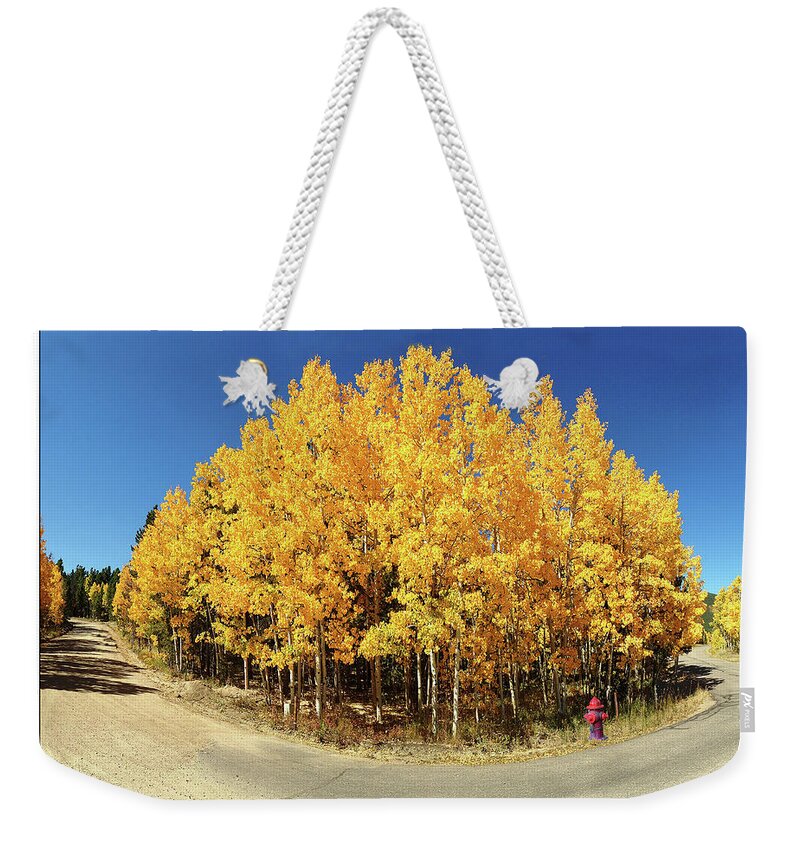 Colorado Weekender Tote Bag featuring the photograph Fisheye Aspens by Peggy Dietz