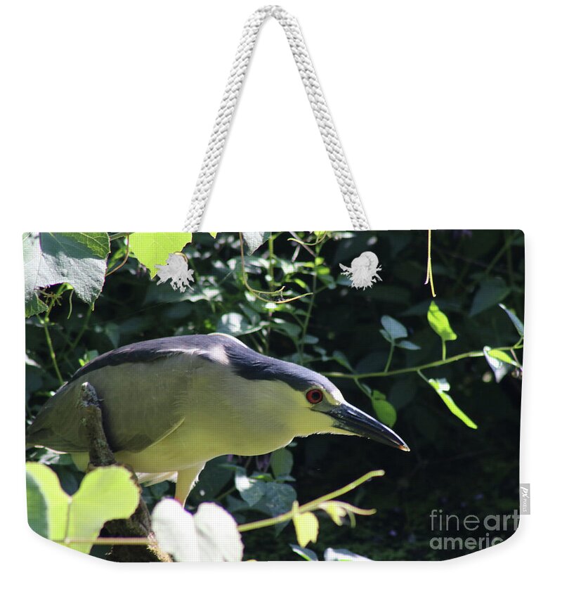Bird Weekender Tote Bag featuring the digital art Fishing Bird by Jack Ader