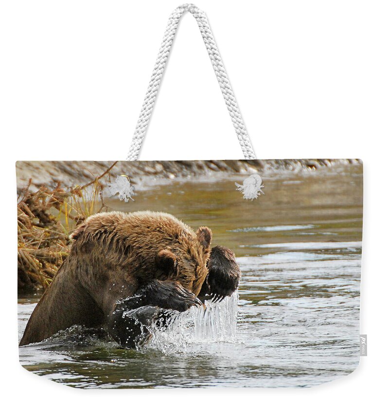 Fishing Weekender Tote Bag featuring the photograph Fishing Grizzly Bear by Ted Keller