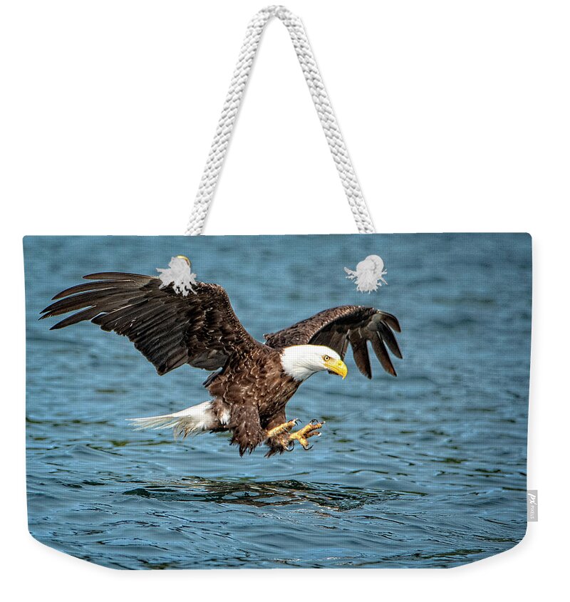 Bald Eagle Weekender Tote Bag featuring the photograph Fishing by Jeanette Mahoney