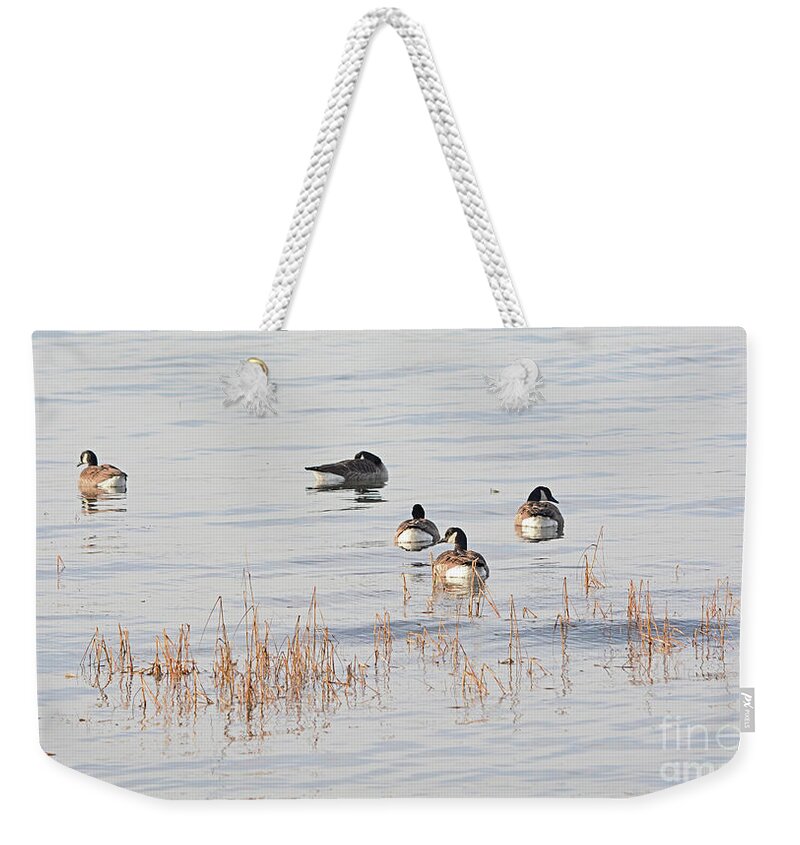 Goose Weekender Tote Bag featuring the photograph Five Geese Swimming by Dianne Morgado