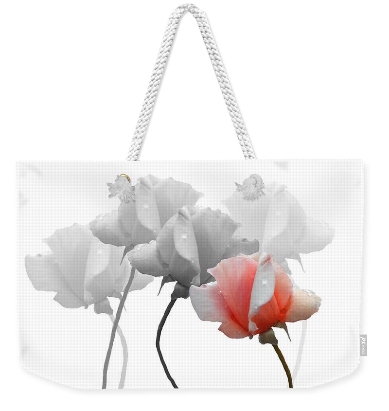 Roses Weekender Tote Bag featuring the photograph Five Roses by Rosalie Scanlon