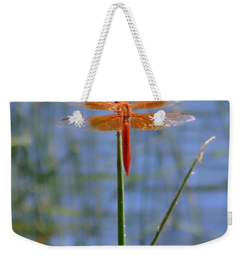Dragonfly Weekender Tote Bag featuring the photograph Flame Skimmer Dragonfly by Donna Blackhall