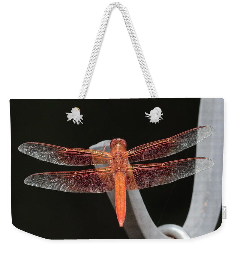 Flame Skimmer Weekender Tote Bag featuring the photograph Flame Skimmer by John Moyer