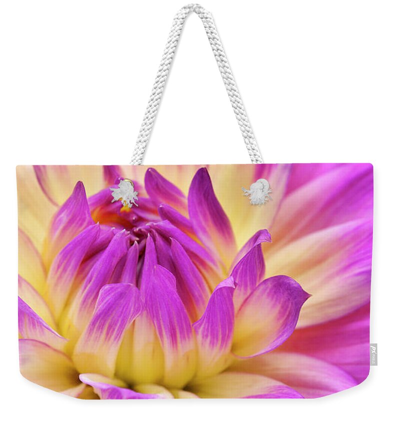 Jigsaw Puzzle Weekender Tote Bag featuring the photograph Flamenco by Carole Gordon