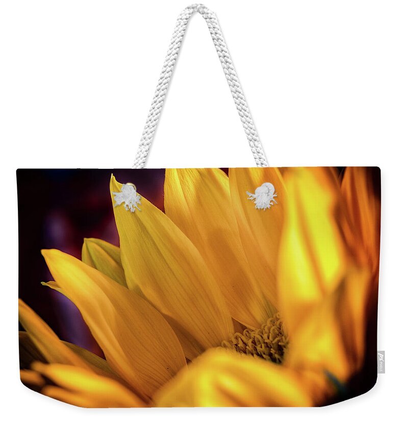 Sunflower Weekender Tote Bag featuring the photograph Flames of Gold by Rod Best