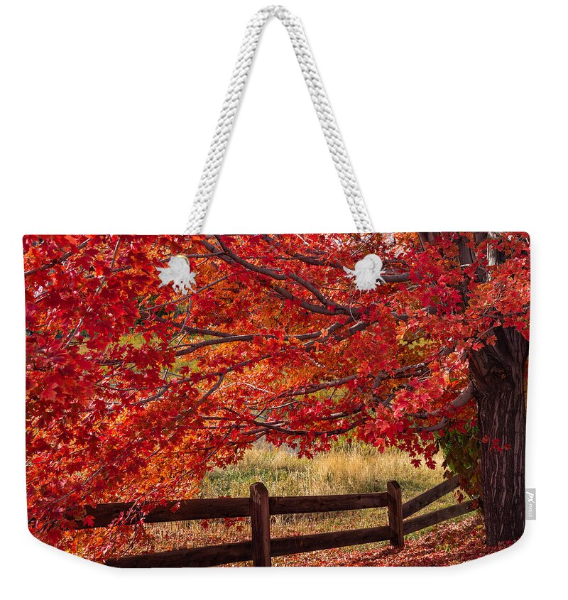Autumn Weekender Tote Bag featuring the photograph Flames on the Fence by Darren White