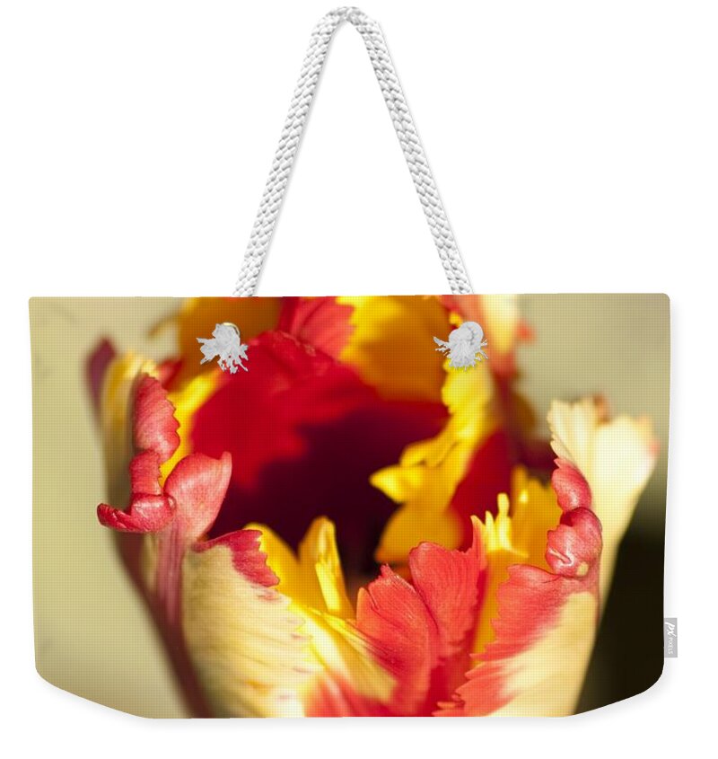 Flaming Parrot Tulip Weekender Tote Bag featuring the photograph Flaming Parrot by Brad Granger