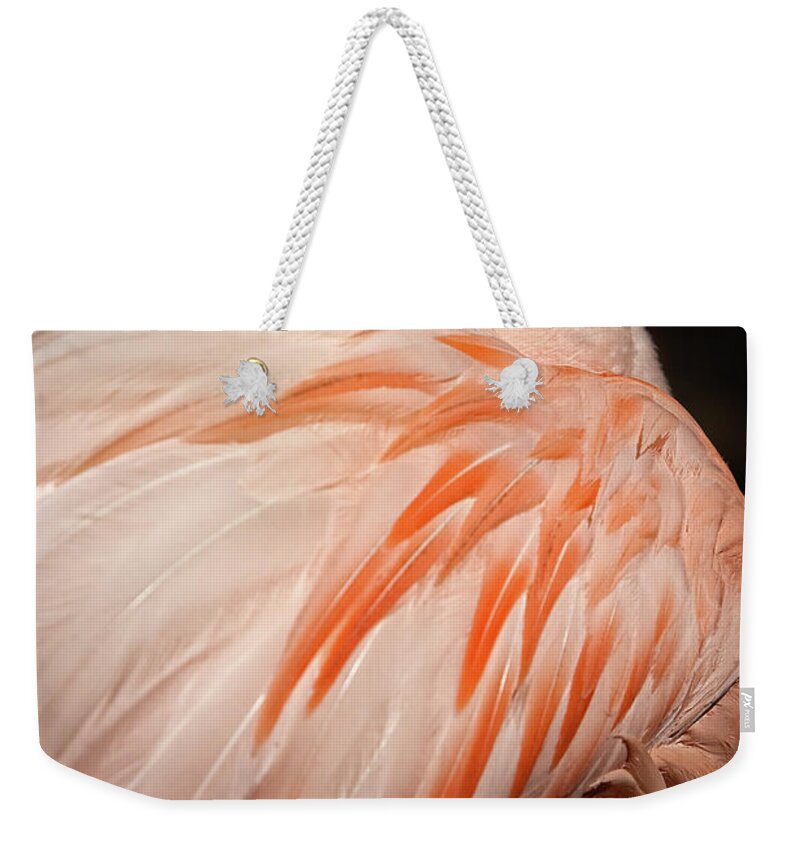 Pink Flamingo Weekender Tote Bag featuring the photograph Flamingo by Doug Sturgess