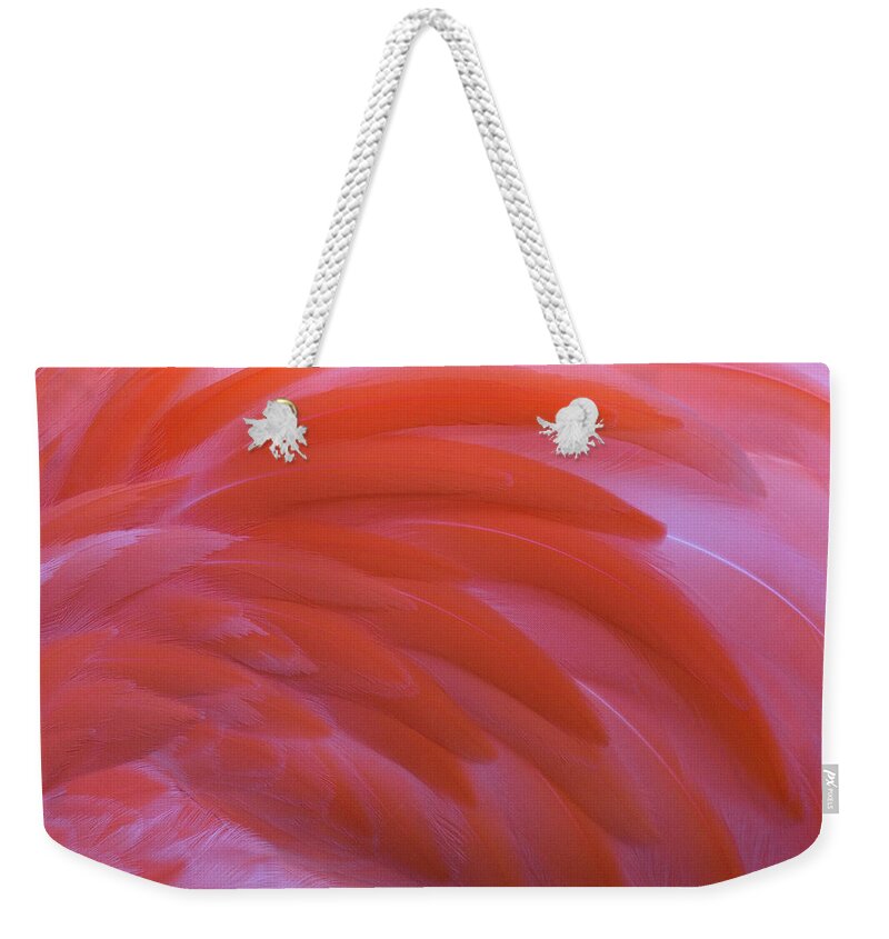 Flamingo Flow Weekender Tote Bag featuring the photograph Flamingo Flow 3 by Michael Hubley