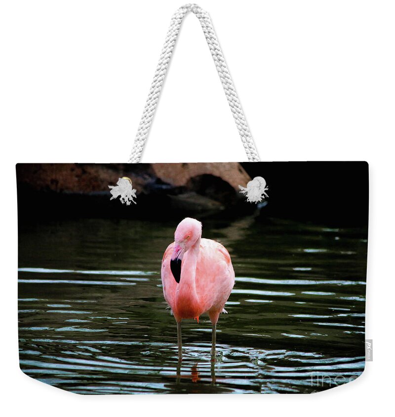 Flamingo Weekender Tote Bag featuring the photograph Flamingo in Water by Veronica Batterson