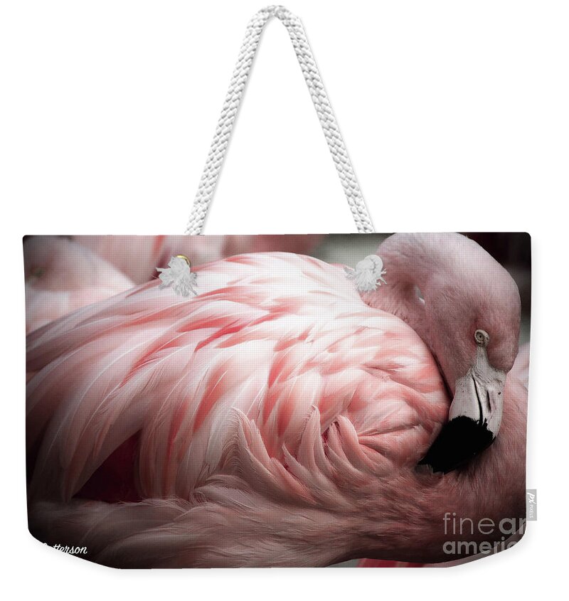Flamingo Weekender Tote Bag featuring the photograph Flamingo Memphis Zoo by Veronica Batterson