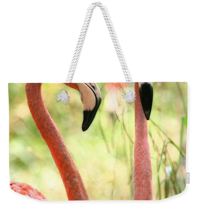 Pair Weekender Tote Bag featuring the photograph Flamingo Pair by Angela Rath