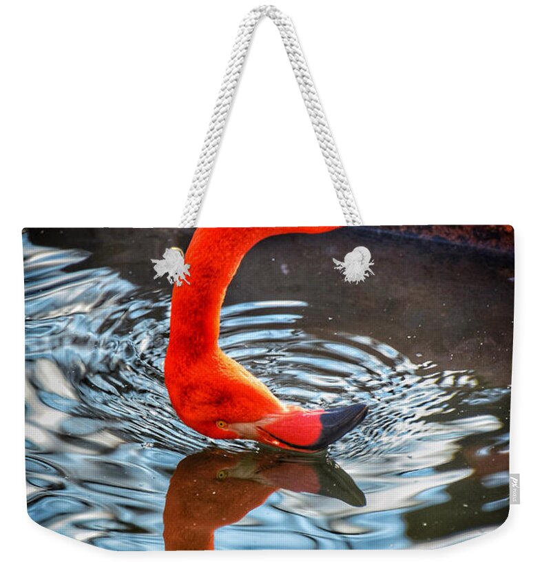 Baltimore Weekender Tote Bag featuring the photograph Flamingo Reflections by Kathi Isserman