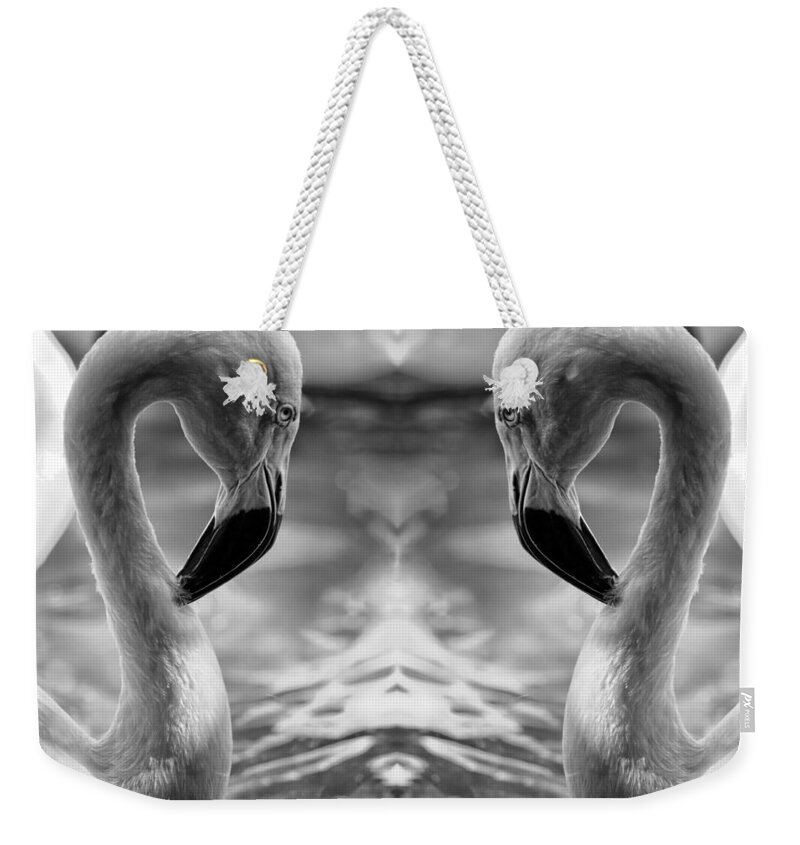 Flamingo Weekender Tote Bag featuring the photograph Flamingo by Stoney Lawrentz