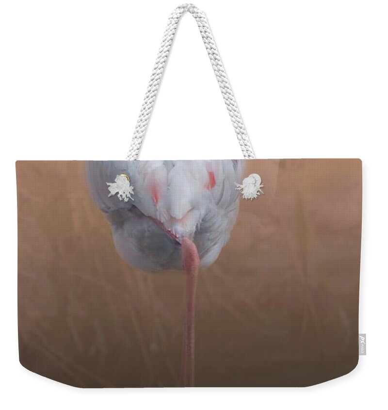 Michelle Meenawong Weekender Tote Bag featuring the photograph Flamingo With Overlay by Michelle Meenawong