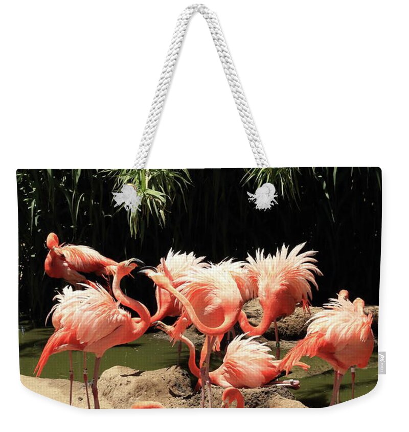 Flamingo Weekender Tote Bag featuring the photograph Flamingos by David Diaz