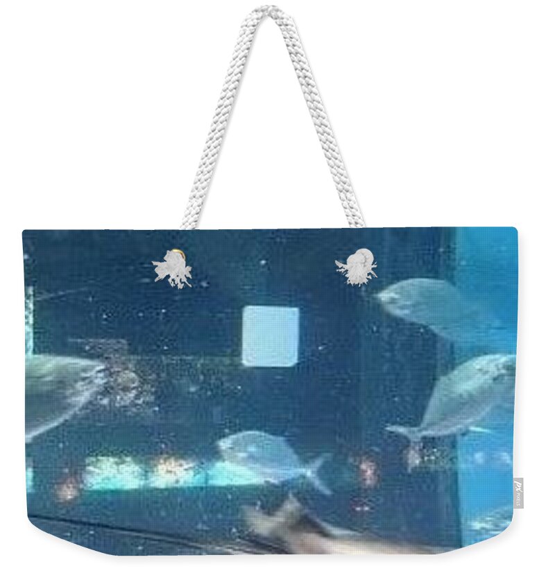 Flat Weekender Tote Bag featuring the photograph Flat Fishes by Moshe Harboun