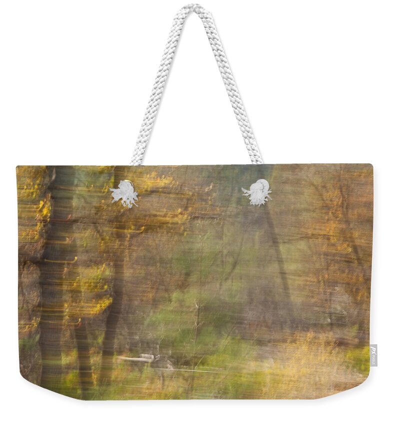 Autumn Weekender Tote Bag featuring the photograph Fleeting Autumn by Denise Dethlefsen