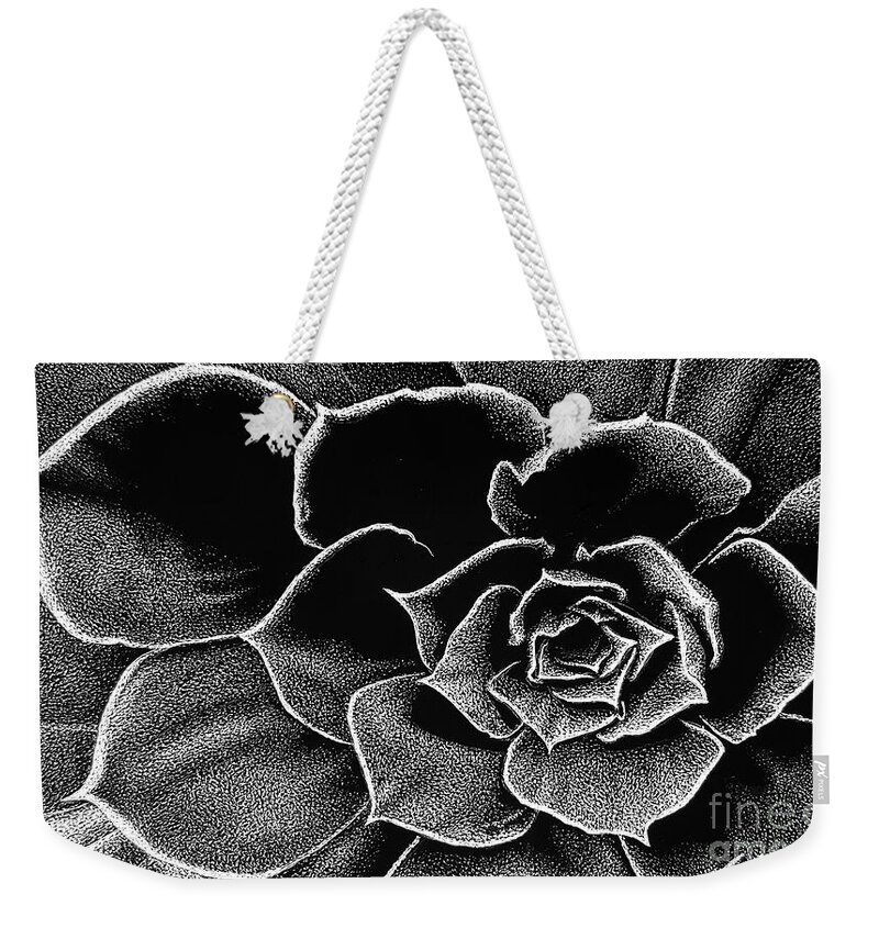 Scratchboard Weekender Tote Bag featuring the drawing Fleur Blanc Succulent by Sheryl Unwin