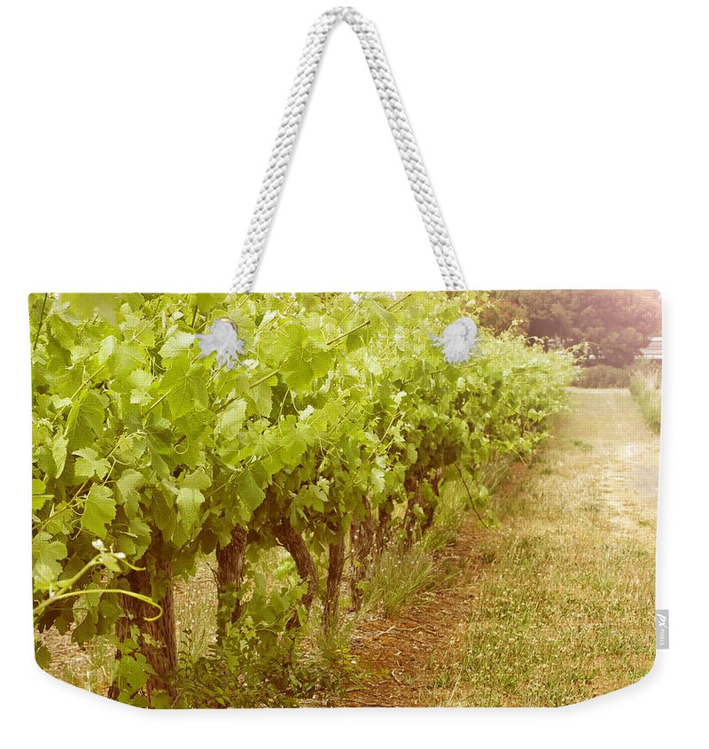 Wine Weekender Tote Bag featuring the photograph Fleurieu grapevines by Milleflore Images