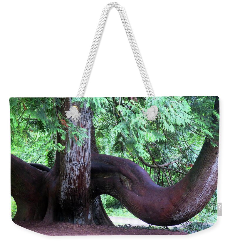 Trees Weekender Tote Bag featuring the photograph Flexing Its Muscle by Rick Locke - Out of the Corner of My Eye