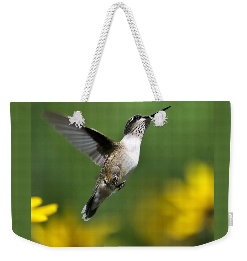 Birds Weekender Tote Bag featuring the photograph Flight of Fancy Hummingbird Square by Christina Rollo