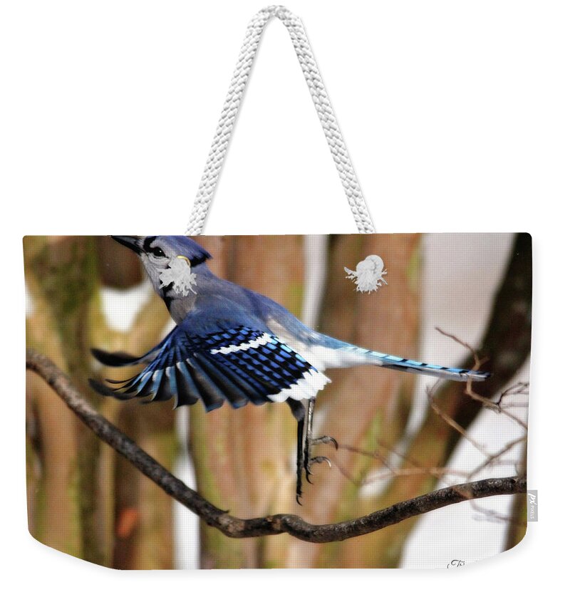 Birds Weekender Tote Bag featuring the photograph Flight of the Blue Jay by Trina Ansel