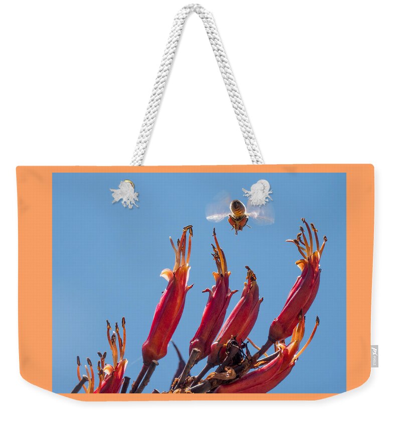 Flowers Weekender Tote Bag featuring the photograph Flight of the Bumble Bee by Derek Dean