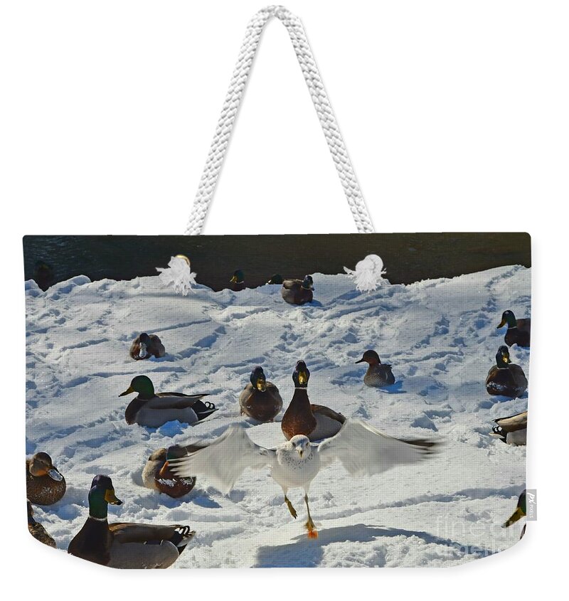 Ducks Weekender Tote Bag featuring the photograph Flight or Fancy by Dani McEvoy