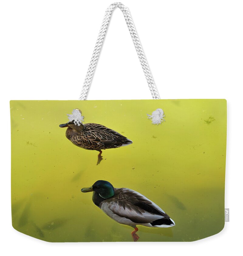 Nature Weekender Tote Bag featuring the photograph Floating Around by Ron Cline