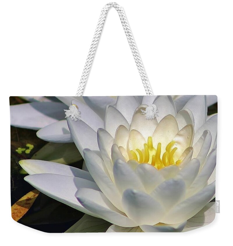 Nature Weekender Tote Bag featuring the photograph Floating Beauty by Bruce Bley