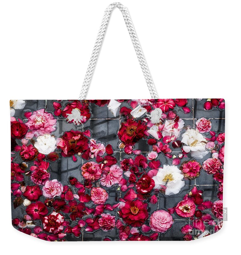 Camelias Weekender Tote Bag featuring the photograph Floating Camelia Blossoms by Ann Jacobson