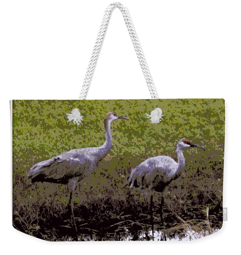 Cranes Weekender Tote Bag featuring the photograph Floating Cranes by Kimberly Woyak